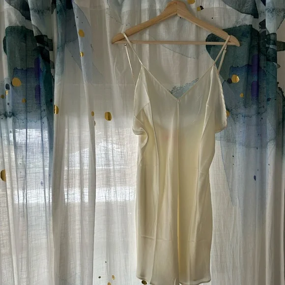 Free People Renata Silk Dress (Dress only) - Picture 6 of 13